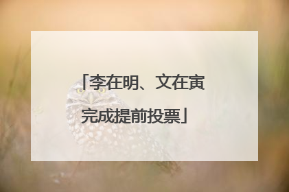 李在明、文在寅完成提前投票