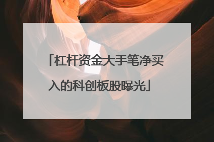 杠杆资金大手笔净买入的科创板股曝光