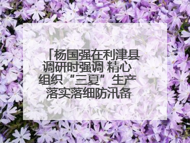 杨国强在利津县调研时强调 精心组织“三夏”生产 落实落细防汛备汛工作