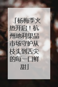 杨梅季火热开启！杭州地利果品市场守护从枝头到舌尖的每一口鲜甜