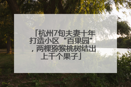 杭州7旬夫妻十年打造小区“百果园”，两棵猕猴桃树结出上千个果子