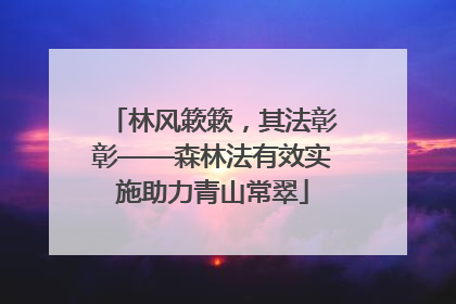林风簌簌，其法彰彰——森林法有效实施助力青山常翠