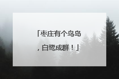 枣庄有个鸟岛，白鹭成群！