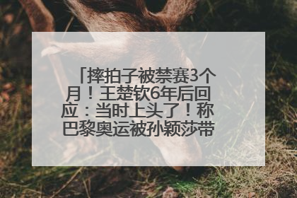 摔拍子被禁赛3个月！王楚钦6年后回应：当时上头了！称巴黎奥运被孙颖莎带着打，搭档8年“一个眼神就能懂”