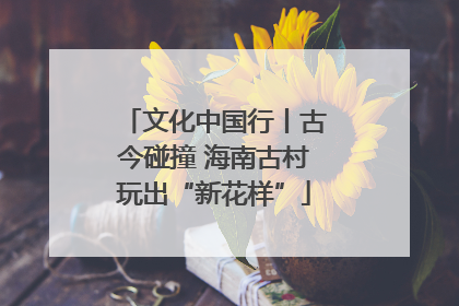 文化中国行丨古今碰撞 海南古村玩出“新花样”