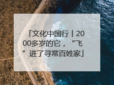 文化中国行丨2000多岁的它，“飞”进了寻常百姓家