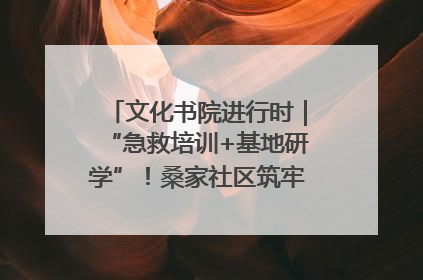 文化书院进行时｜“急救培训+基地研学”！桑家社区筑牢居民健康防线