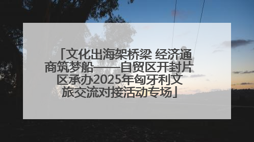 文化出海架桥梁 经济通商筑梦船——自贸区开封片区承办2025年匈牙利文旅交流对接活动专场