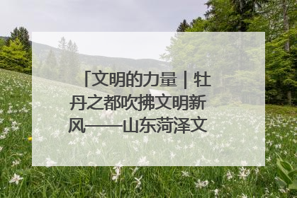 文明的力量｜牡丹之都吹拂文明新风——山东菏泽文明创建一线见闻