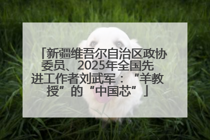 新疆维吾尔自治区政协委员、2025年全国先进工作者刘武军：“羊教授”的“中国芯”