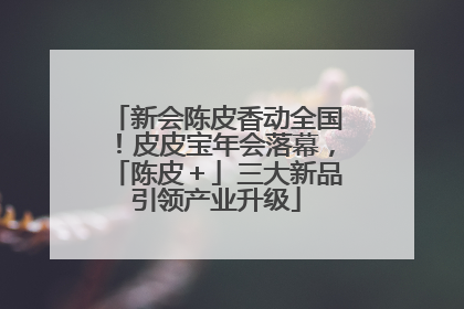 新会陈皮香动全国！皮皮宝年会落幕，「陈皮＋」三大新品引领产业升级