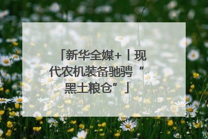 新华全媒+丨现代农机装备驰骋“黑土粮仓”