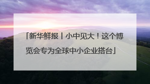 新华鲜报丨小中见大！这个博览会专为全球中小企业搭台