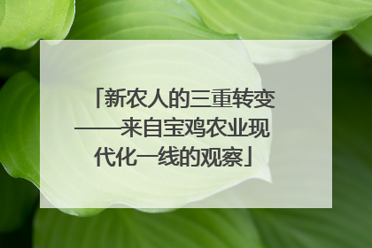 新农人的三重转变——来自宝鸡农业现代化一线的观察