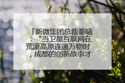 新微集团总裁秦曦：“当卫星互联网在荒漠高原连通万物时，成都的创新故事才真正开始”