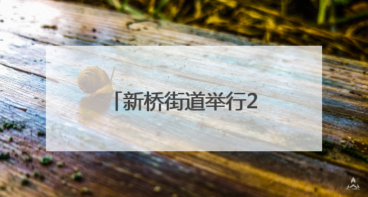 新桥街道举行2025年民兵点验大会 锻造国防建设“拳头力量”