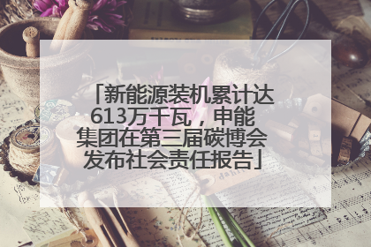 新能源装机累计达613万千瓦，申能集团在第三届碳博会发布社会责任报告