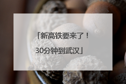 新高铁要来了！30分钟到武汉
