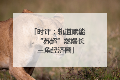 时评：轨道赋能，“苏超”燃爆长三角经济圈