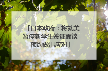 日本政府：将就美暂停新学生签证面谈预约做出应对