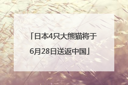 日本4只大熊猫将于6月28日送返中国