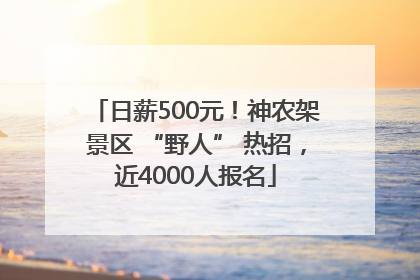 日薪500元！神农架景区 “野人” 热招，近4000人报名