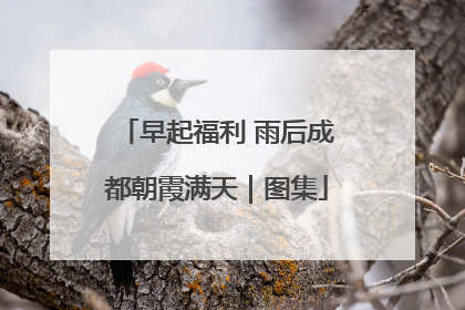 早起福利 雨后成都朝霞满天｜图集