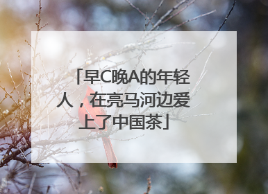 早C晚A的年轻人，在亮马河边爱上了中国茶