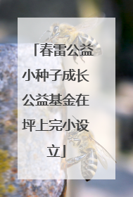 春雷公益小种子成长公益基金在坪上完小设立