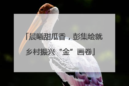 晨曦甜瓜香，彭集绘就乡村振兴“金”画卷