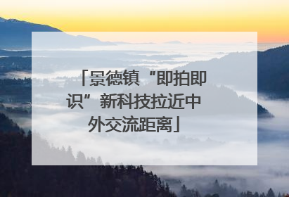 景德镇“即拍即识”新科技拉近中外交流距离
