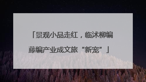 景观小品走红，临沭柳编藤编产业成文旅“新宠”
