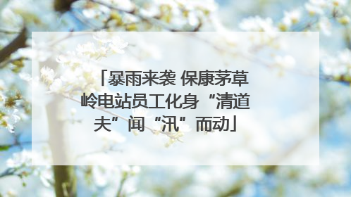 暴雨来袭 保康茅草岭电站员工化身“清道夫”闻“汛”而动
