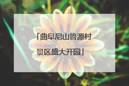 曲阜尼山鲁源村景区盛大开园