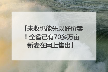 未收也能先以好价卖！全省已有70多万亩新麦在网上售出