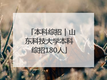 本科综招｜山东科技大学本科综招180人