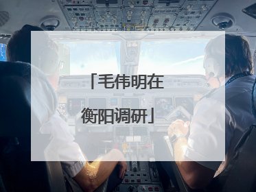 毛伟明在衡阳调研