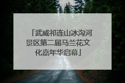 武威祁连山冰沟河景区第二届马兰花文化嘉年华启幕