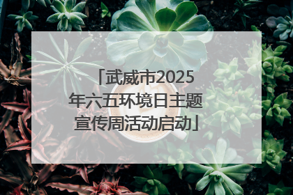 武威市2025年六五环境日主题宣传周活动启动