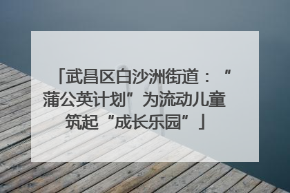武昌区白沙洲街道：“蒲公英计划”为流动儿童筑起“成长乐园”