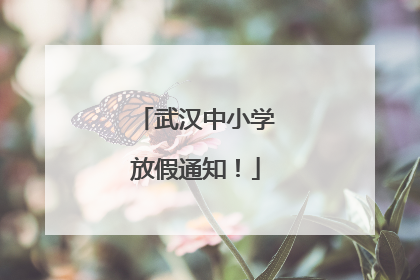 武汉中小学放假通知！