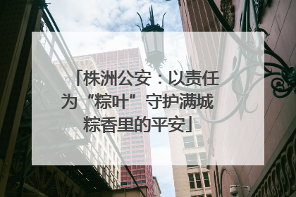株洲公安：以责任为“粽叶”守护满城粽香里的平安