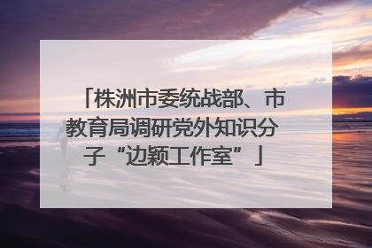 株洲市委统战部、市教育局调研党外知识分子“边颖工作室”