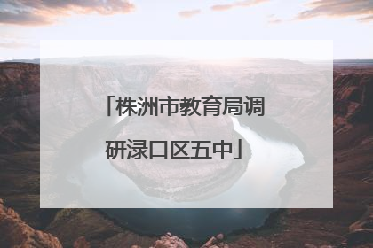 株洲市教育局调研渌口区五中