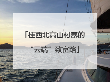 桂西北高山村寨的“云端”致富路