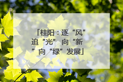 桂阳：逐“风”追“光” 向“新”向“绿”发展