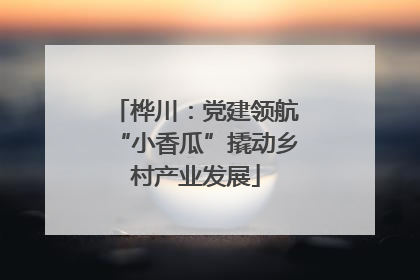 桦川：党建领航“小香瓜”撬动乡村产业发展
