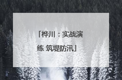 桦川：实战演练 筑堤防汛