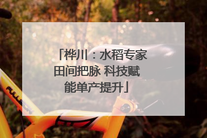 桦川：水稻专家田间把脉 科技赋能单产提升