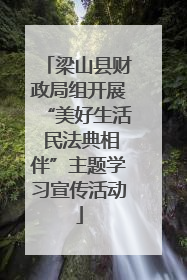 梁山县财政局组开展“美好生活 民法典相伴”主题学习宣传活动